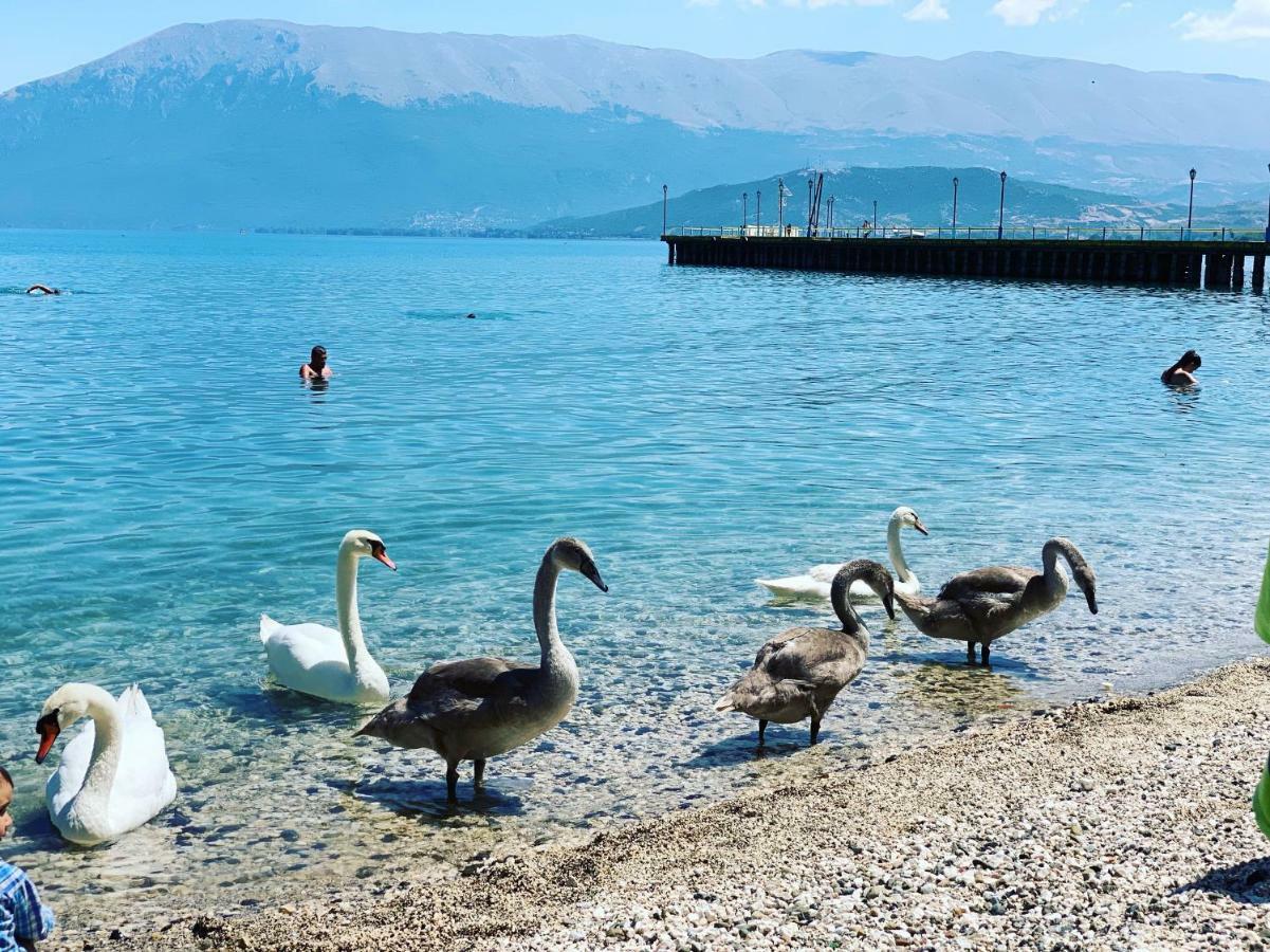Syzo Apartments Pogradec Eksteriør billede
